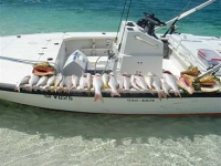 Turks and Caicos Charter Fishing