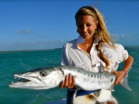 Big Barracuda in Turks and Caicos