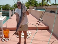 Barracuda Fishing Turks and Caicos