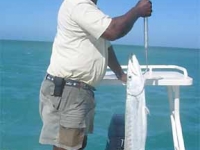 Fishing Guides in Turks and Caicos