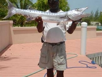 BIg Barracuda Turks and Caicos