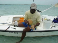Turks and Caicos Conch