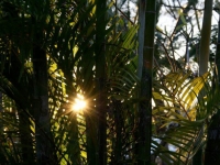 26734_370363054175_4131996_n