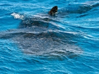 26734_370363299175_3515820_n