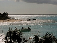 26734_370363414175_4500716_n