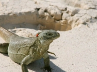 26734_370363424175_7429484_n