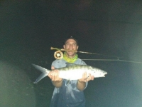 Turks Caicos Fishing