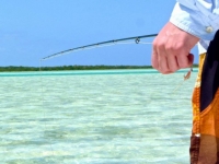 Flats fishing