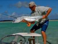 Barracuda Turks and Caicos