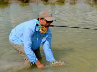 Bonefishing in Turks and Caicos