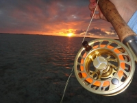 Fly Fishing Guide Turks and Caicos