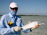 Bonefish Providenciales
