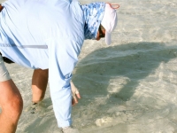 Bonefish Providenciales