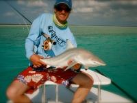 Shark Turks and Caicos