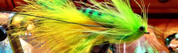 Alternate Flat Species