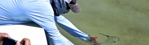 Permit Everywhere! Click for some beautiful pictures…