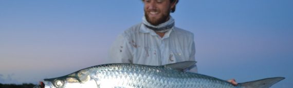 Tarpon Migration